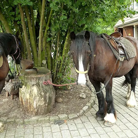 아파트 Horse Ranch Lunzen - Dlh01015-cyc 슈네베르딘겐