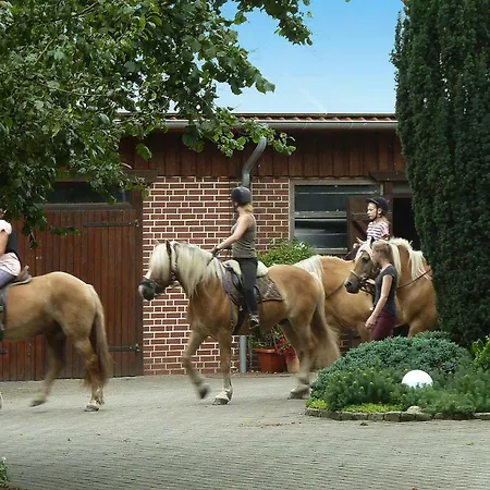 Horse Ranch Lunzen - Dlh01015-cyc *